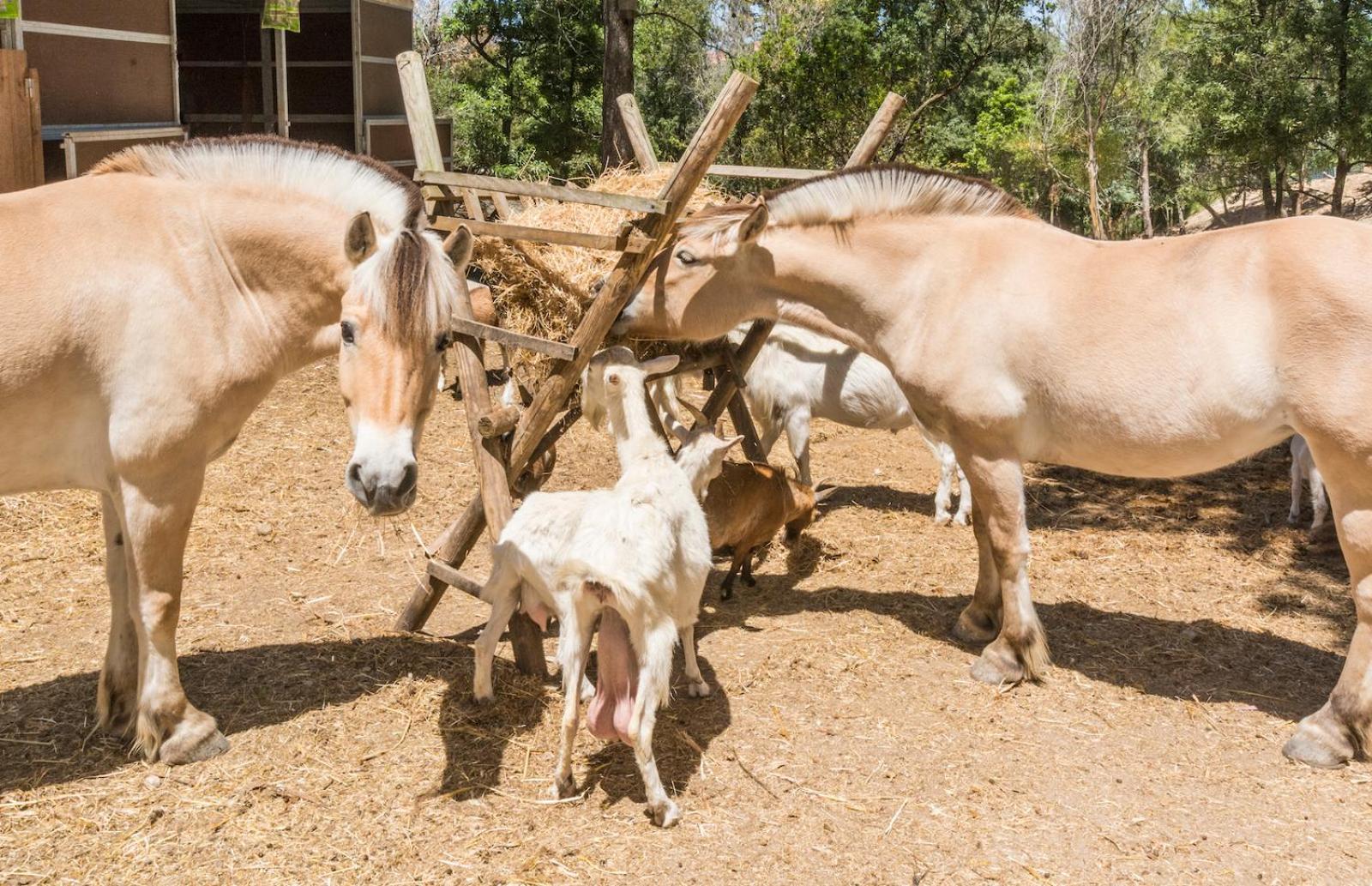 Quinta De Sao Pedro Villa Sobreda Kültér fotó
